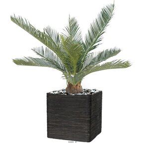 Palmier Cycas Artificiel En Pot H Cm Vert Dimhaut H Cm