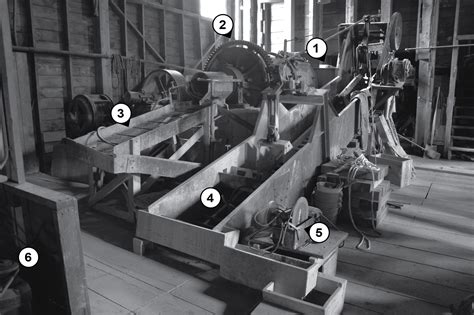 Paul White Naked Fieldnotes