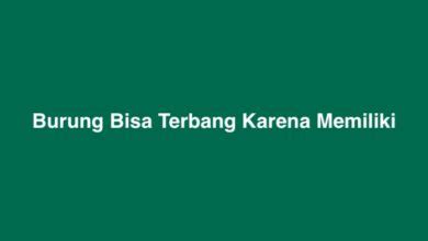 Burung Bisa Terbang Karena Memiliki Jawaban Tts Lontong Idnpacific