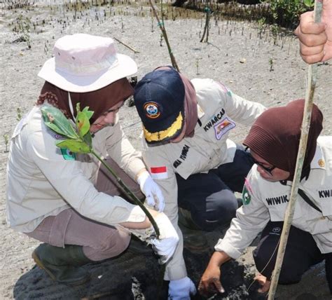 Aksi Bersih Bersih Pantai Dan Penanaman Pohon Mangrove Dan Peduli