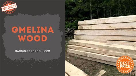 Gmelina Wood Price List Philippines Hardwarezoneph