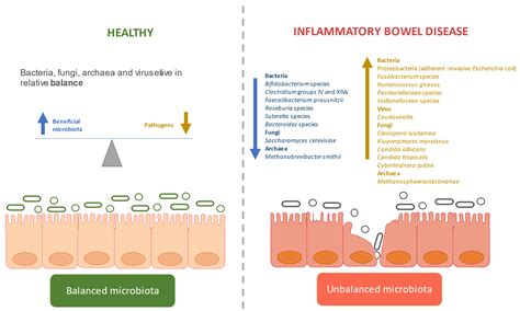 Microorganisms Free Full Text Systematic Review The Gut Microbiome