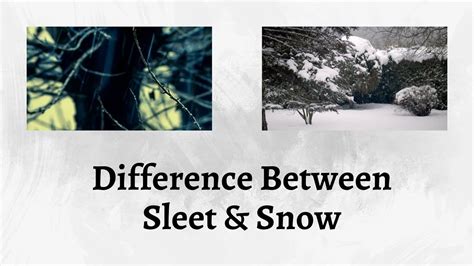 Difference Between Sleet And Snow Snow Or Sleet Dont Get Caught In