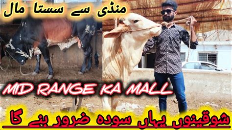 Mandi Se Sasta Mall Karachi Ki Sub Se Sasti Mandi Bakraeid2024