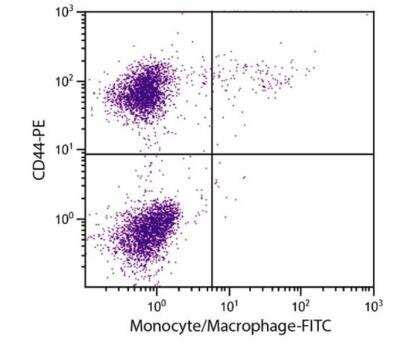 Monocyte Macrophage Antibody KUL01 FITC NBP1 28360 Novus Biologicals