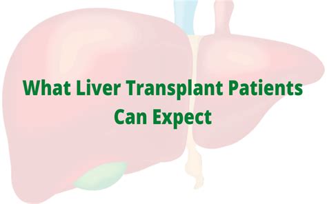 Thing To Know What Liver Transplant Patients Can Expect - Updated Ideas