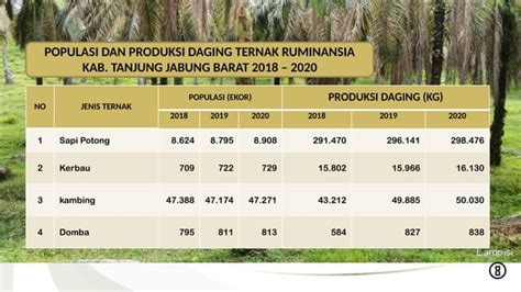 Kebijakan Pengembangan Ternak Ruminansia Kambing Pptx