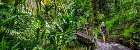 Hawaii Tropical Bioreserve and Garden | Big Island Guide