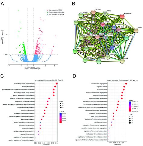 Identification And Functional Categories Of Differentially Expressed