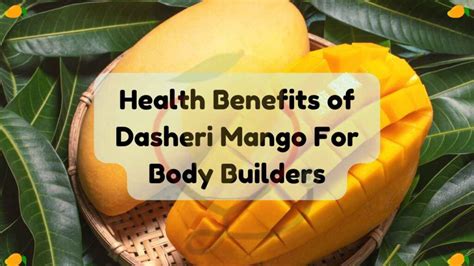 Dasheri Mango History Health Benefits Uses And Recipes Mango Dose