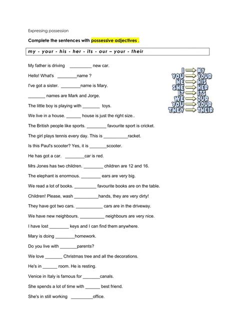 Expressing Possession Worksheet Possessive Adjectives Simple Past