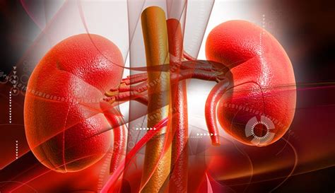 Kidney Transplant Financial Assistance