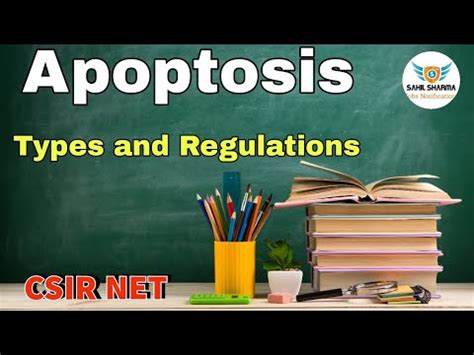 Apoptosis Csir Net Dec Apoptosis Types And Regulations Of