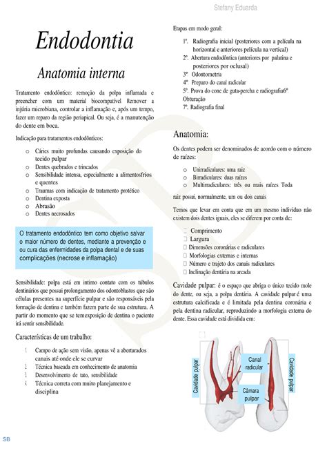 Endodontia - 1BI - Resumo anatomia interna, preparo, limas, medicação intracal e solucão