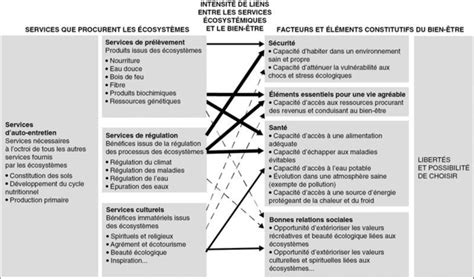 Catégories De Services écosystémiques Et Leur Relation Avec Le