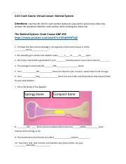 Crash Course On Skeletal System And Joints In Anatomy And Course Hero