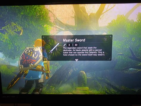 Botw master sword throw