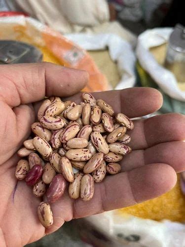 Rajma Chitra At Rs Kg Organic Pulses In New Delhi Id