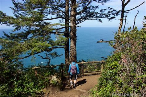 Cape Lookout Trail | Oregon | Hikespeak.com