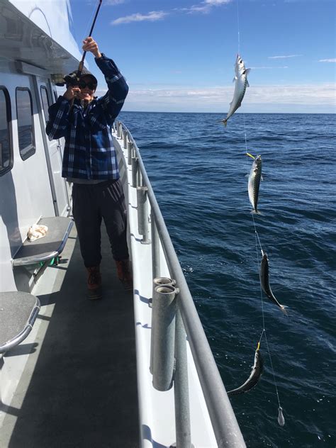 Holy Mackerel! - Ocean City MD Fishing