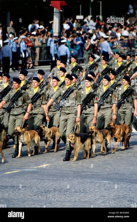 Military Unit With Dogs In The Bastille Day Parade Paris Stock Photo