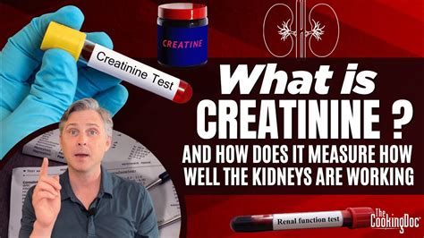 What is creatinine, what are the symptoms of low or high creatinine ...