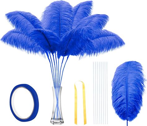 Dgyjjz Juego De Plumas De Avestruz Azules A Granel Kit De