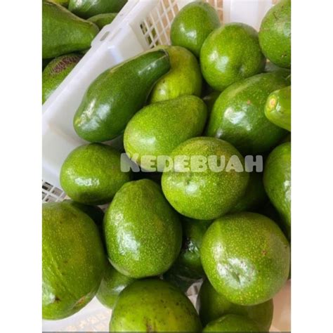 Jual Alpukat Mentega Lampung 1kg Shopee Indonesia