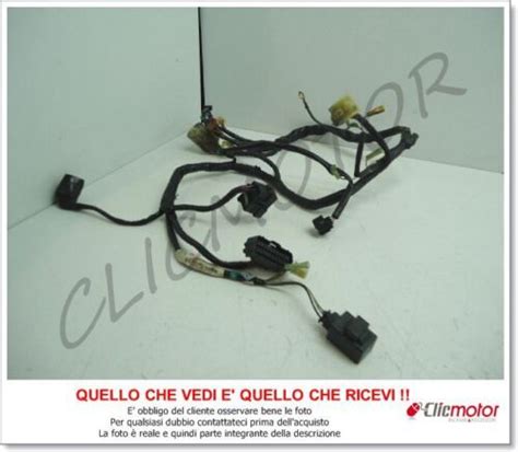 CAVI MATASSA IMPIANTO ELETTRICO CABLAGGIO Original For HONDA HORNET 600