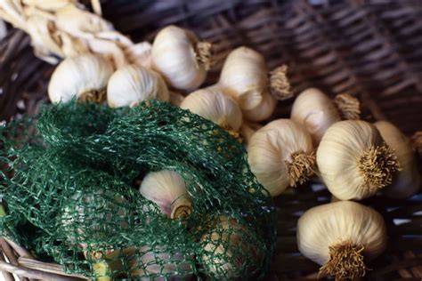 How To Store Garlic So It Doesn T Smell Storables