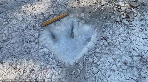 113 Million Year Old Dinosaur Tracks Surface In Wake Of Texas Drought