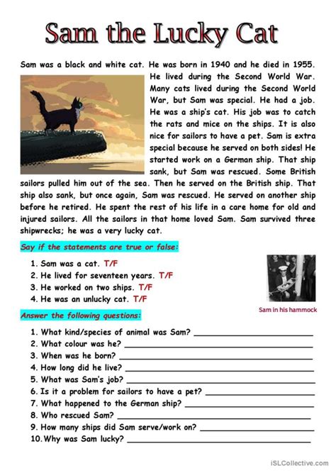 Sam The Lucky Cat General Gramma English ESL Worksheets Pdf Doc