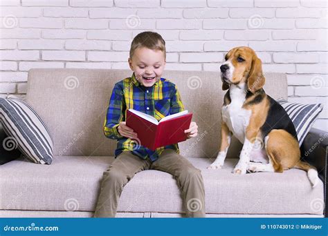 Funny Boy Reading a Book with a Beagle Stock Photo - Image of cute ...