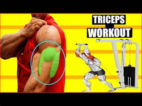 How To Build Your WIDER Triceps Workout AT GYM Effective Exercises