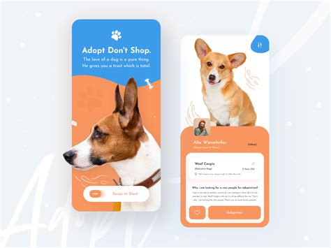 Pets Adoption App App Design Adoption Pet Adoption