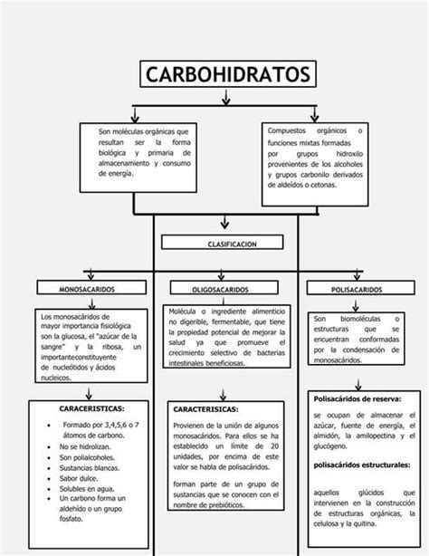 Mapa Conceptual De Los Carbohidratos Udocz 65520 The Best Porn Website