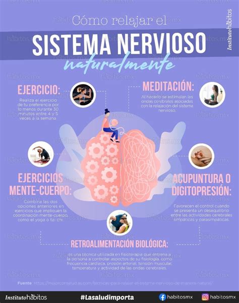 Cómo relajar el sistema nervioso Hábitos Health Coaching