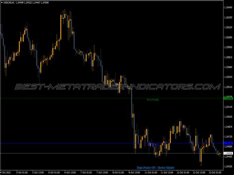 Daily Pivot Points Indicator Mql Top Mt Indicators Mq Ex