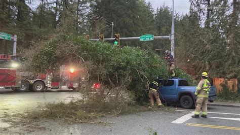 Strong Winds Knock Out Power To Thousands In Puget Sound Region