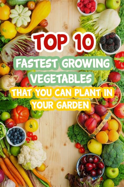 The Top 10 Fastest Growing Vegetables That You Can Plant In Your Garden – Backyard Vegetable ...