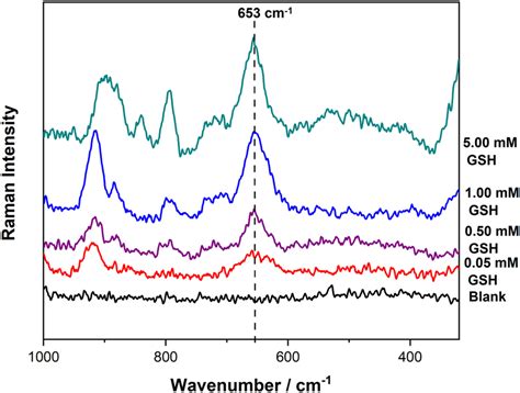 Development Of An Electrochemical Surfaceenhanced Raman Spectroscopic