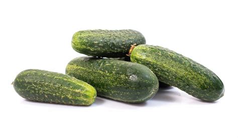 25 Best Cucumber Varieties for Your Garden - Crate and Basket