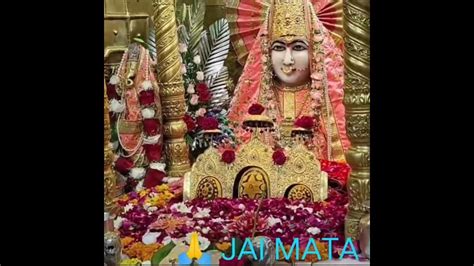 🙏🌹 Jai Mata Mansa Devi Ji 🌹🙏04 03 2024 Darshan Youtube