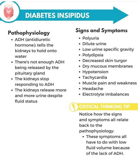 Diabetes Insipidus Medizzy