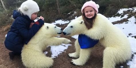 A Girl And The Most Honest And Cutest Polar Bear In Stable Diffusion