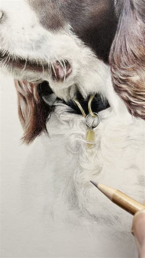 Learn to draw realistic animals tutorials live sessions more – Artofit