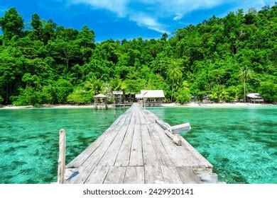 Kali Lemon Located Nabire Central Papua Stock Photo 2429920141 ...