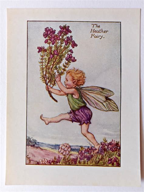 Heather Flower Fairy Print Flower Fairy Prints