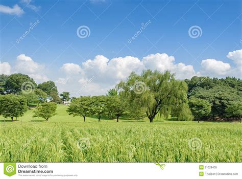 Seoul Olympic Park in a Sunny Day Stock Image - Image of park, grass: 51029435