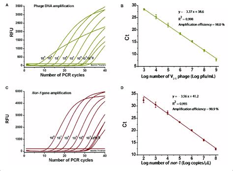 Determination Of Amplification Efficiency Of The Real Time Pcr A